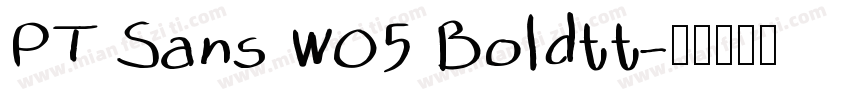 PT Sans W05 Boldtt字体转换
